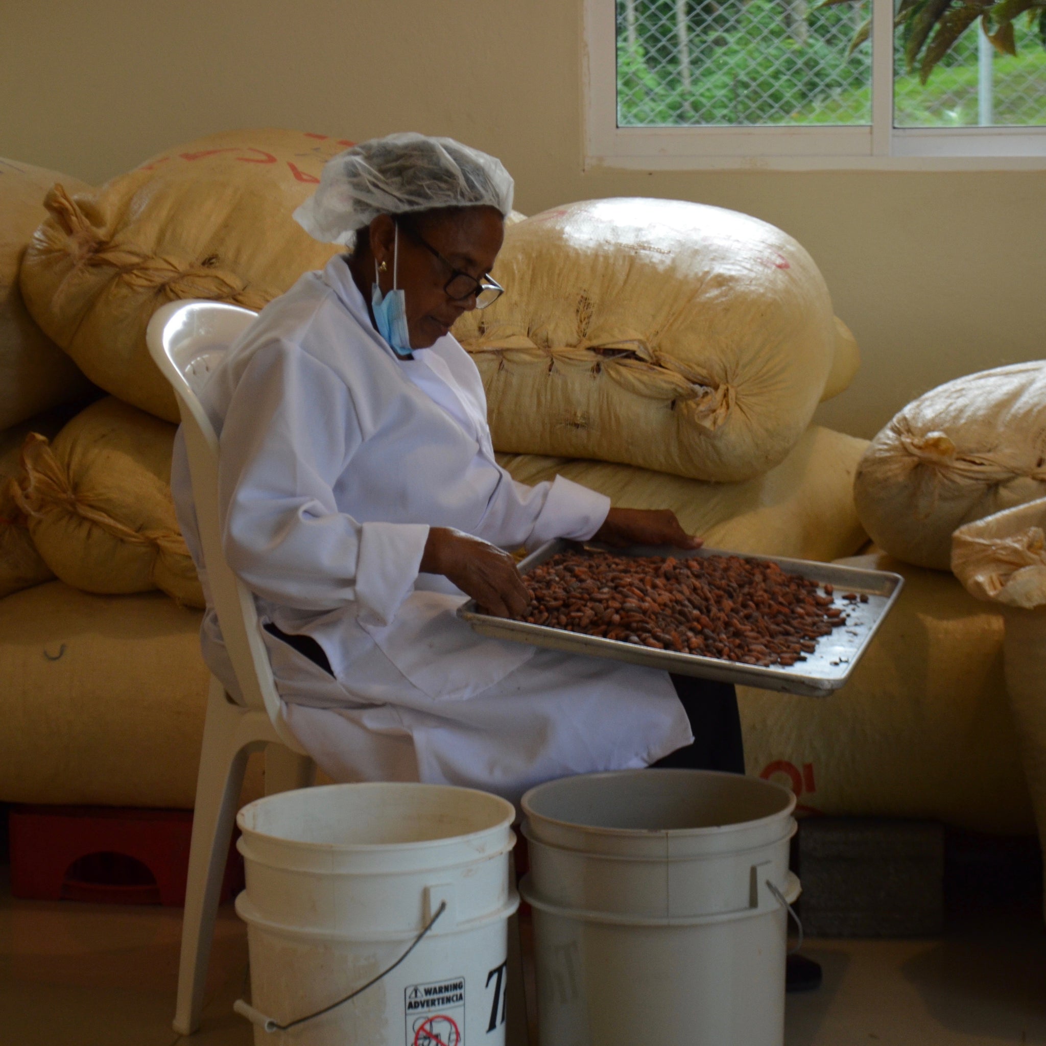 indi chocolate visit to the Dominican Republic tells more about women in chocolate