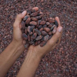 10 healthy ways to enjoy cacao nibs from indi chocolate in Pike Place Market includes superfood recipes high in antioxidants and magnesium. The source of dark chocolate.