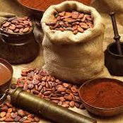 Christopher Columbus and Chocolate