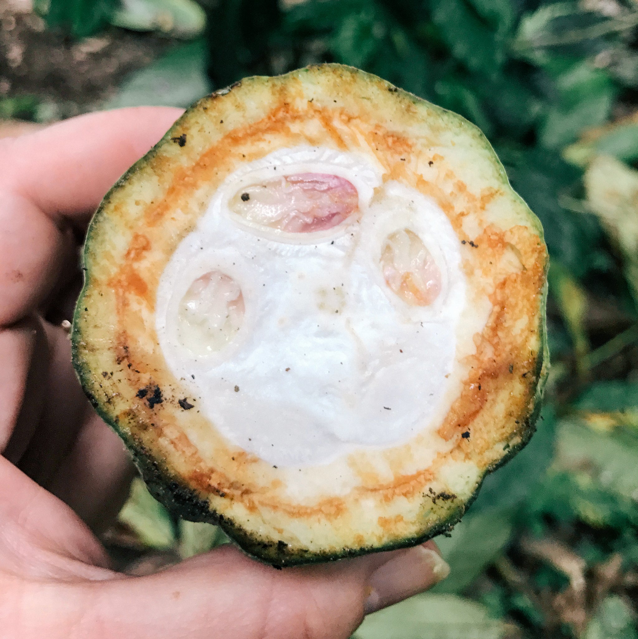 Adventures in Nicaragua: The Barber of La Colonia