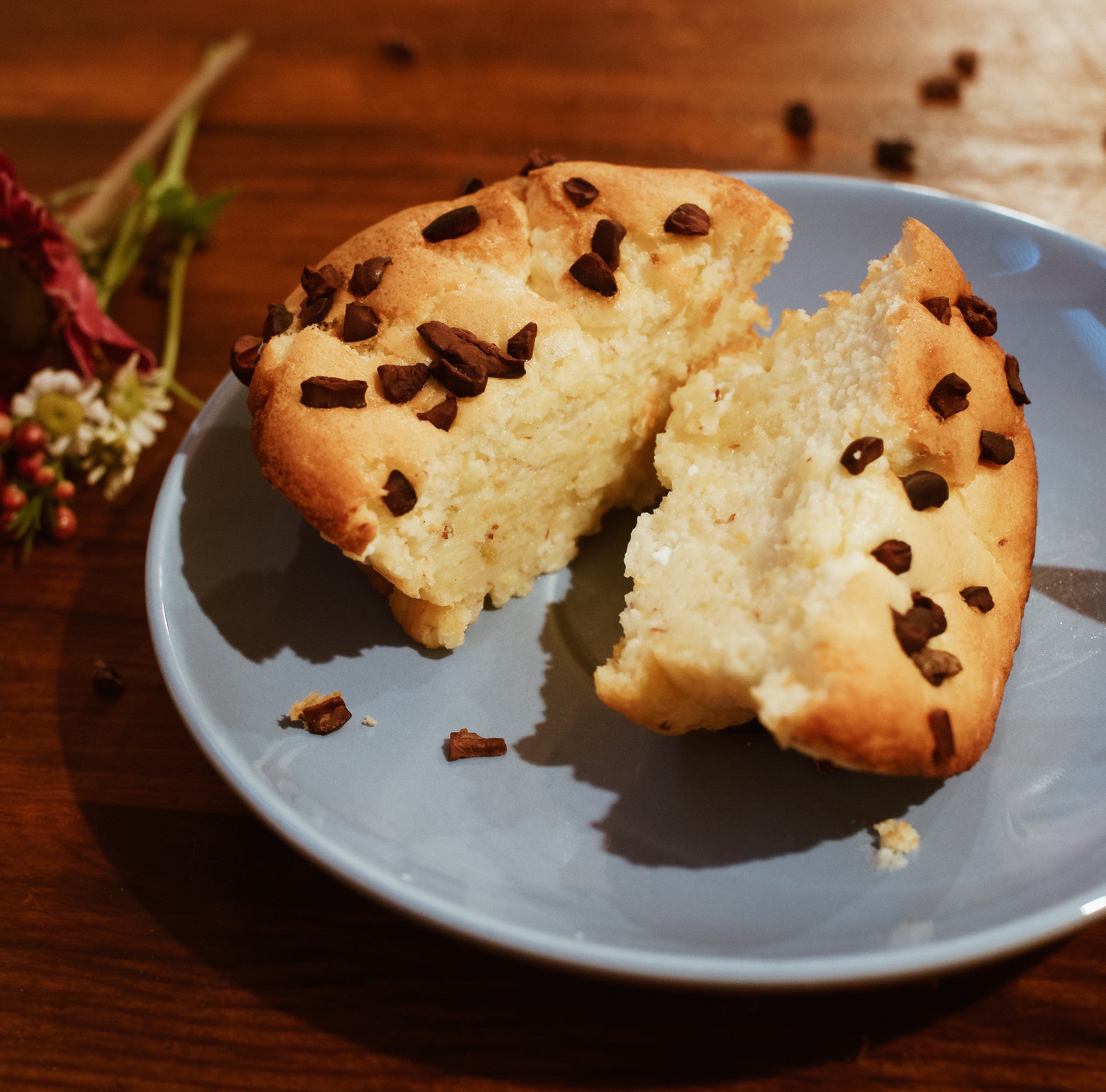 Cacao Nib Citrus Cake with indi chocolate nibs