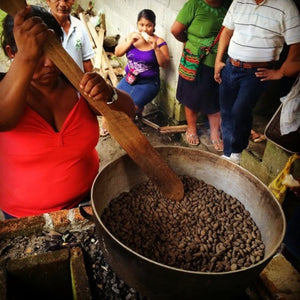 Cacao capacity building in Bocas del Toro