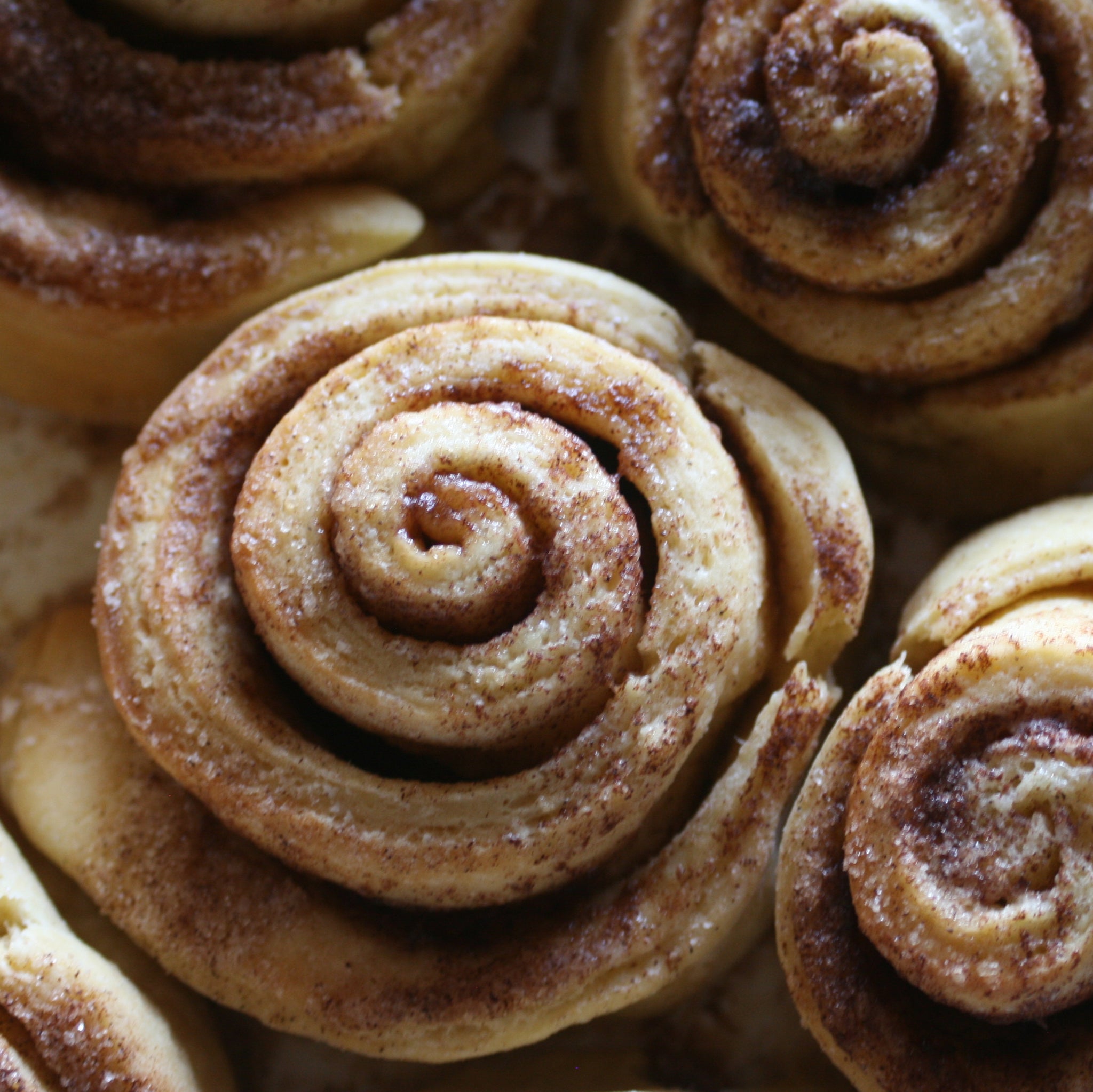 indi chocolate Molé Spice Rub can be used in sweet or savory recipes.